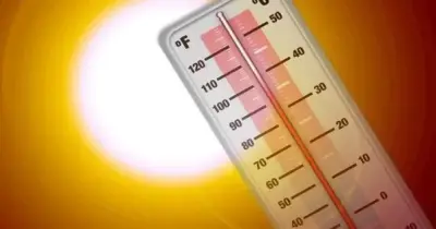 حالة الطقس غدا 11 يونيو 2026.. فرص أمطار خفيفة بالمحافظات