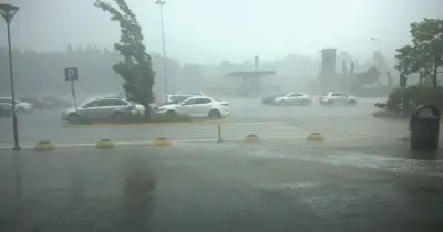 توقعات الطقس غدا.. هل تعود الموجة الحارة؟ الأرصاد تحذر من تقلبات مفاجئة