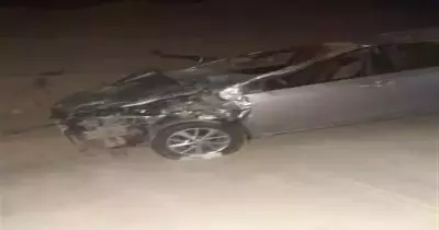 جمل شارد يصدم سيارة على طريق جنوب سيناء ومصرع صاحبها