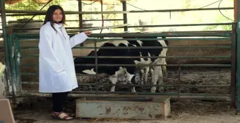 تنسيق كلية الطب البيطري في الجامعات الأهلية 2026 2027