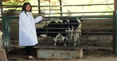 تنسيق كلية الطب البيطري في الجامعات الأهلية 2026 2027