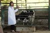 تنسيق كلية الطب البيطري في الجامعات الأهلية 2026 2027