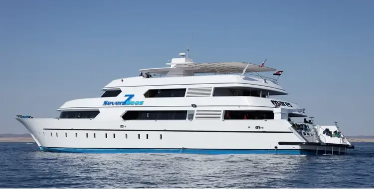  حادث لنش سياحي بمرسى علم.. إنقاذ 21 سائحا من الموت 