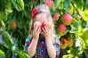 i eat a little apples.. صواب أم خطأ؟