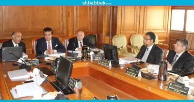 مليون جنيه للمشروع.. مجلس صندوق العلوم والتكنولوجيا يمول أكثر من 50 بحثا علميا