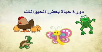 مطوية دورة حياة الحيوانات جاهزة على الطباعة