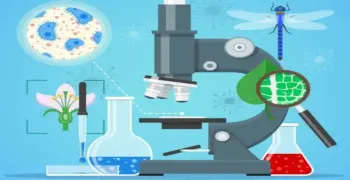 مراجعة الهرمونات للصف الثالث الثانوي 2026.. كبسولة الأحياء لليلة الامتحان