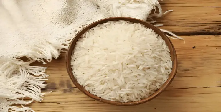  سعر طن الأرز الشعير اليوم السبت 13 سبتمبر 2025 بكام 