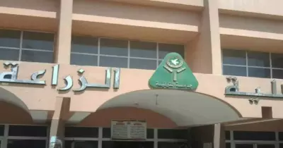 4 مشاركات بحثية من جامعة المنوفية في مؤتمر تربية النبات بكلية زراعة الإسكندرية