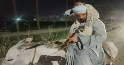 القبض على المسافر بالحمار من الجيزة لأسوان