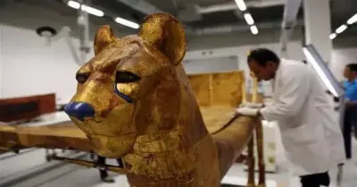 توقعات تنسيق معاهد ترميم الآثار 2026 بالجامعات والنسب المئوية
