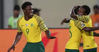 ملخص وأهداف مباراة نيجيريا وجنوب أفريقيا في كأس أمم أفريقيا 2019