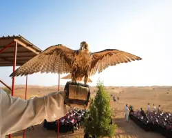 تفاصيل مهرجان الإثنوسبورت الثقافي العالمي في موسم الرياض 2026 وموعد انطلاقه