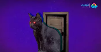 قصص رعب حقيقية بعضها حدث في مصر