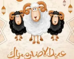 صور خروف العيد الكبير 2026.. تصميمات كرتونية للمعايدة بين الأقارب