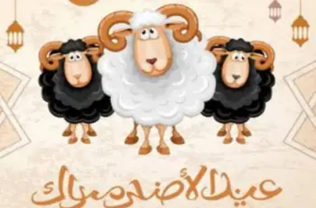 صور خروف العيد الكبير 2026.. تصميمات كرتونية للمعايدة بين الأقارب