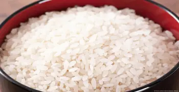 سعر الأرز الشعير اليوم الأحد 24 أغسطس يتراجع بشكل ملحوظ