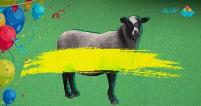 خروف العيد كرتون وألعاب ورسم وpng