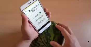 بدل ما تتطلع قرعة.. تطبيق هيساعدك في اختيار البطيخ الحلو