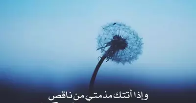 وإذا أتتك مذمتي من ناقص تعرف على القائل ومعناه والقصيدة كاملة