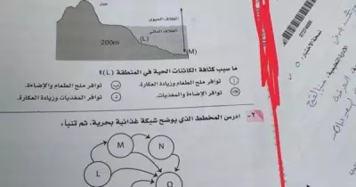 أروى سمير تحت قبضة وزارة التعليم بعد تصوير بيانتها كاملة في امتحان الجيولوجيا