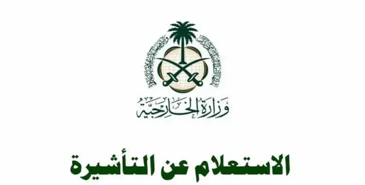  استعلام عن تأشيرة برقم الجواز 2025.. الرابط والخطوات 