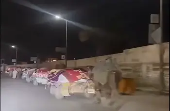 بالجمال والكارو.. بدء الترحال لمولد السيد البدوي 2026 من بنها لطنطا