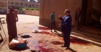 إحالة مدير مدرسة في القليوبية للتحقيق بسبب ذبح عجل في «الحوش»