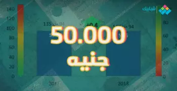 مشروع مربح برأس مال 50000 جنيه