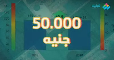 مشروع مربح برأس مال 50000 جنيه