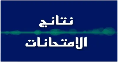 بوابة القاهرة التعليمية نتائج الامتحانات الترم الثاني 2025.. متاحة الآن