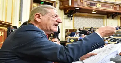 «النواب»: سعر الدولار تحت مستوى 40 جنيها قبل منتصف 2026