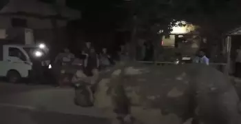 وزارة الزراعة تكشف حقيقة تجول حيوان وحيد القرن بشوارع مصر (فيديو)