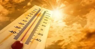 حالة الطقس غدا الأحد 28 يونيو 2026: ما هي درجات الحرارة في المحافظات؟