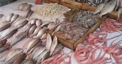 ارتفاع سعر البلطي.. أسعار السمك والجمبري اليوم الجمعة 27 ديسمبر 2019