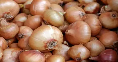 هل يستمر ارتفاع سعر البصل؟ ومتى ينخفض؟.. رئيس بحوث البصل يجيب (فيديو)