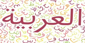 مذكرة النحو للصف السادس الابتدائي الترم الأول 2027.. pdf للتحميل