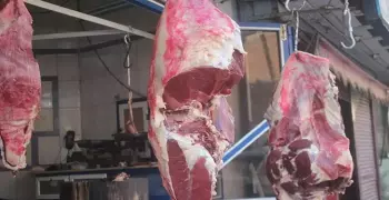أسعار وأنواع اللحوم والمنتجات في منافذ الزراعة.. تخفيضات على جميع المنتجات
