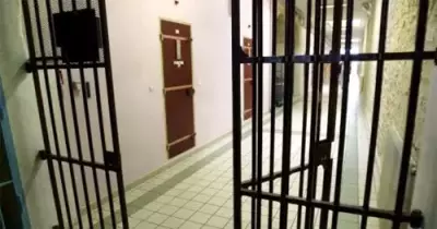 «سجين سابق».. بهذه الطريقة يمكن دمج المفرج عنهم داخل المجتمع (فيديو)