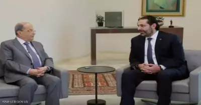 الرئيس اللبناني يجتمع مع سعد الحريري.. ما الهدف من هذا اللقاء؟