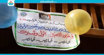 جامعة المنصورة تحشد الطلاب: طابور الناخبين أفضل من طابور اللاجئين (صور)