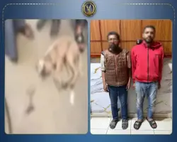 الداخلية تكشف ملابسات فيديو التعدي على كلب ونفوقه بالشرقية