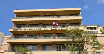 وزارة الزراعة تحذر المواطنين من صفحات وهمية تروج لمنتجاتها الغذائية
