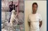 القبض على شخص بتهمة تعذيب كلب حتى موته في الدقهلية.. تفاصيل