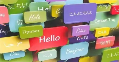 توقعات تنسيق معاهد اللغات والترجمة 2026 بالجامعات والنسب المئوية
