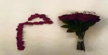 خمس فواكه بحرف الميم ونوع فاكهة من 6 حروف تبدأ بحرف م