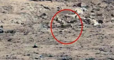 أول تعليق من وزارة الآثار حول اكتشاف ناسا لـ«تابوت فرعوني» على سطح المريخ.. (فيديو)