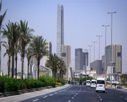 مصر قبل وبعد قطع الأشجار.. كيف تغيرت شوارع القاهرة والجيزة؟