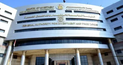 برابط رسمي.. تعرف على تخصصات وأهداف تدريب هيئة الاستثمار الصيفي 2026