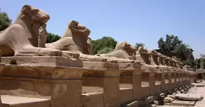 موعد افتتاح طريق الكباش الجديد وسبب التأجيل.. اعرف التفاصيل